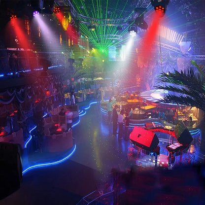 LED Par Light 6x3W RGBW DJ Controller Disco Party Holiday Christmas Bar Club Wedding Birthday Gig Stage Light