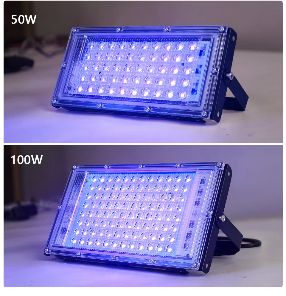 395nm 400nm Led UV Floodlight 220V Ultraviolet Stage Lamp 50W 100W LED Stage Blacklight Waterproof Disco Party Stage Backlight